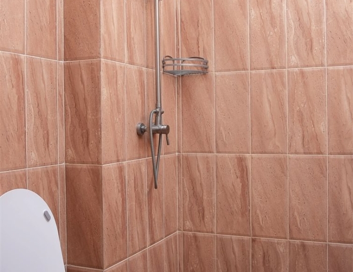 Stаndart - Клуб-отель Bazalt / Базальт Цандрипш